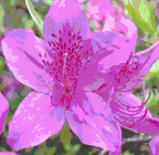 Demonstration of Photoshop effects